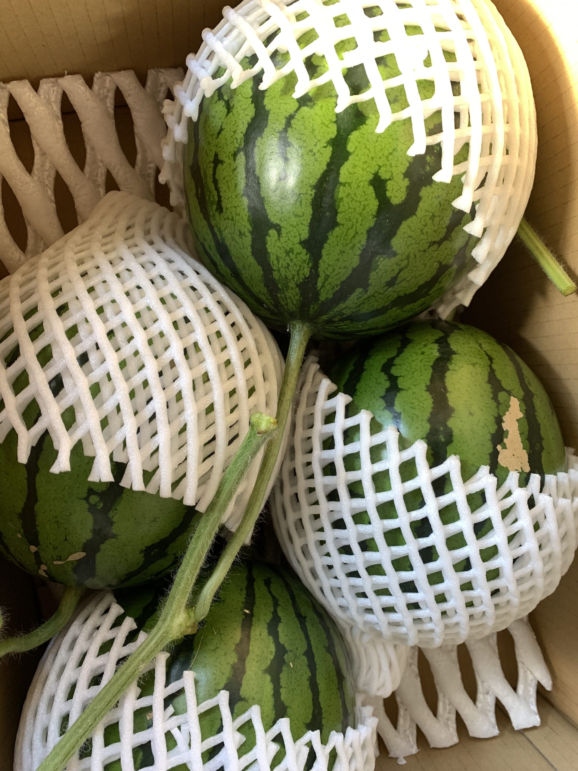 6838190E-F332-46AD-8D7B-C3369C68C29E