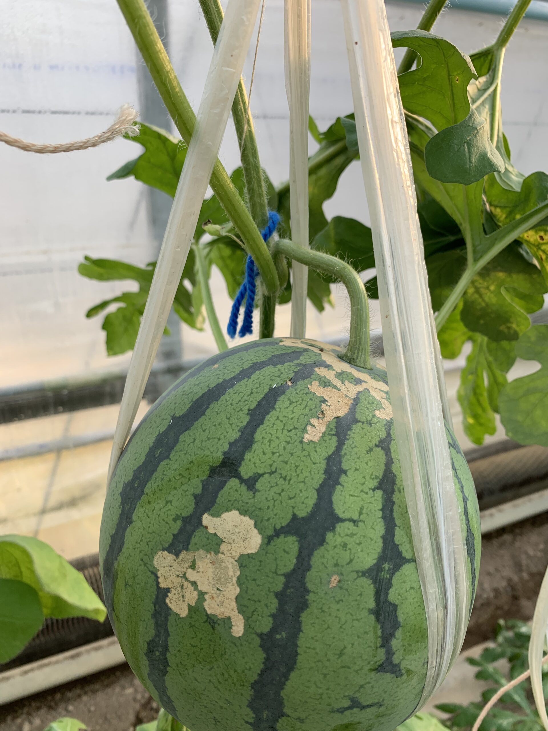 B2C88056-CC67-4092-937B-B9D97A4B3CD2