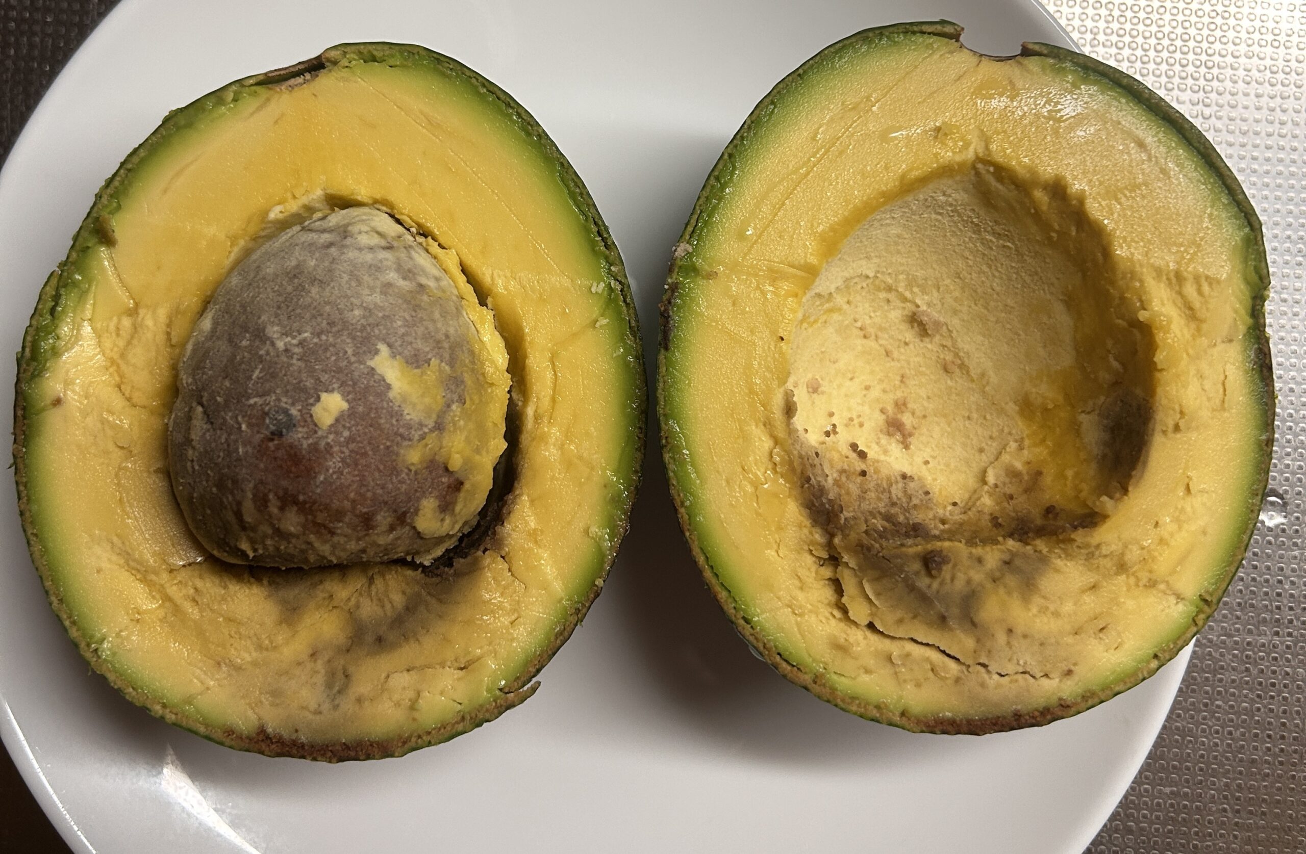 スイカ屋が作るアボカド